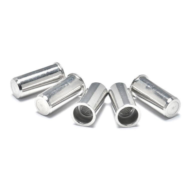 Reduce Head Round Body Closed End Rivet Nut - Image 2